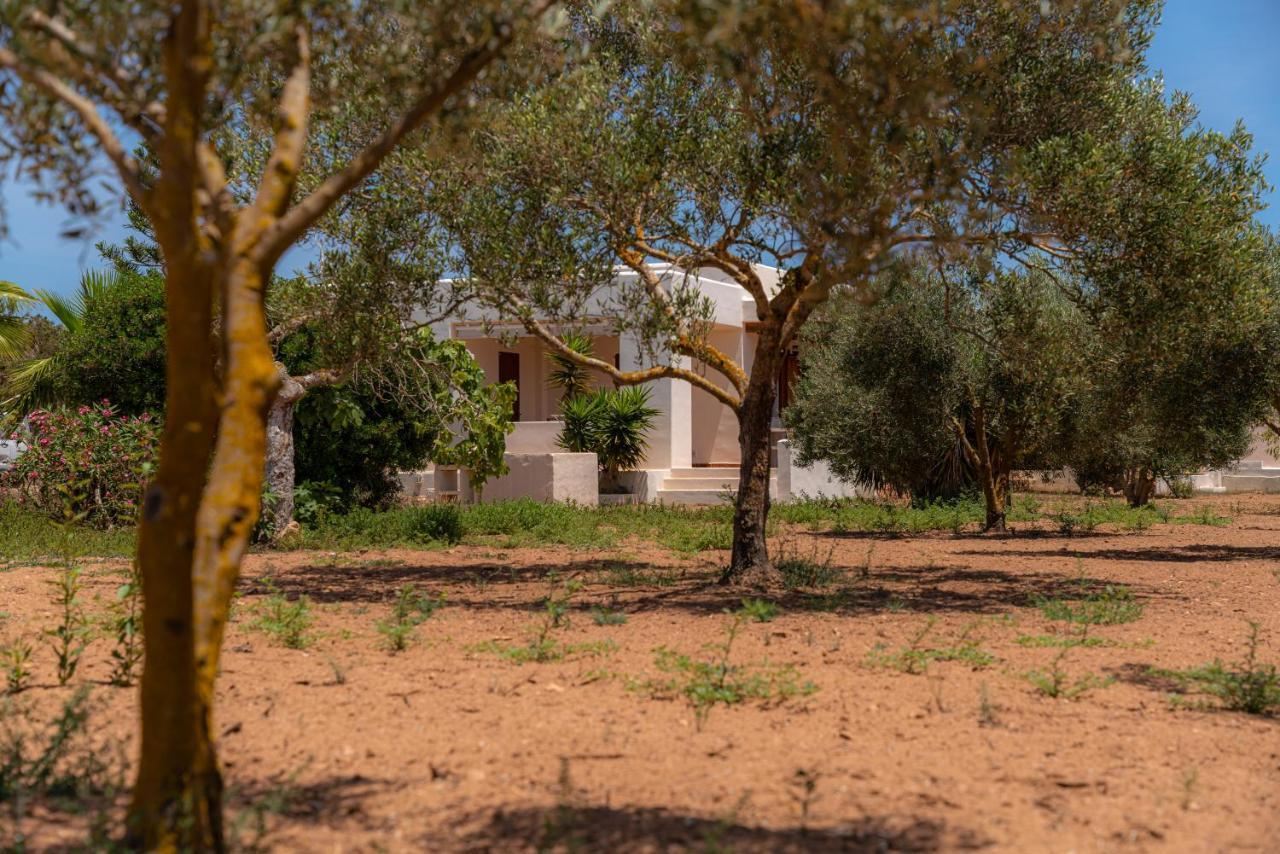 Siamoformentera Villa Beatrice Playa Migjorn Bagian luar foto